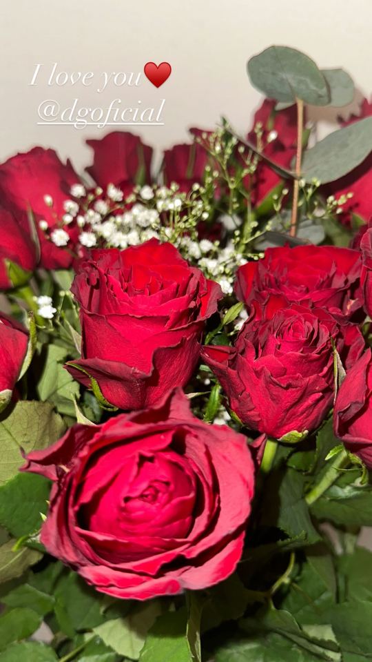 a bunch of red roses with the words i love you @dgoficial