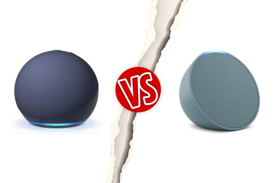 Comparison of two smart speakers.