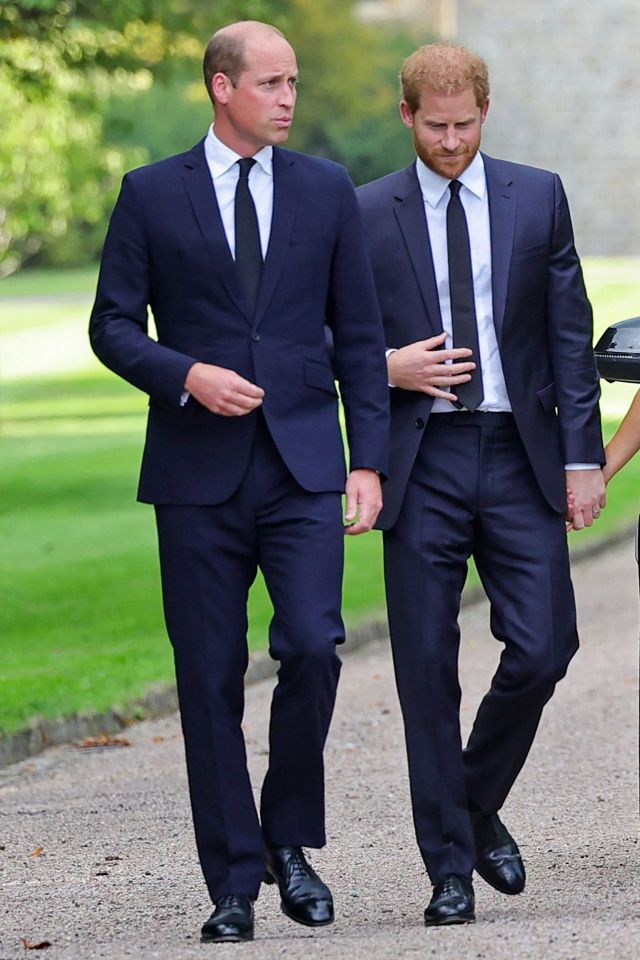 A possible reconciliation between Harry and William continues to be discussed by royal pundits