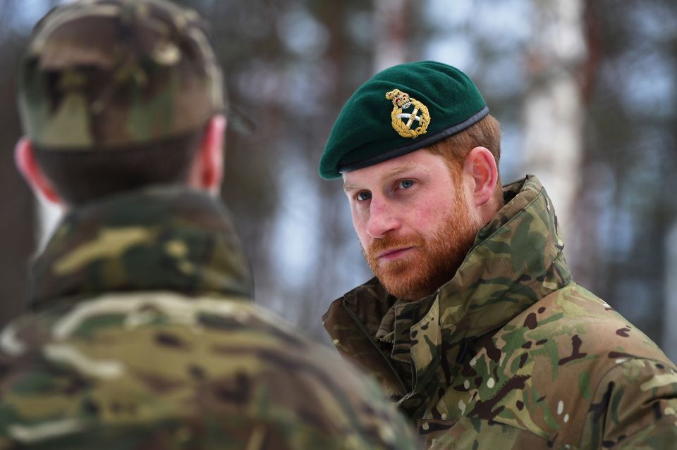 The Duke of Sussex during a visit to Exercise Clockwork in Bardufoss, Norway