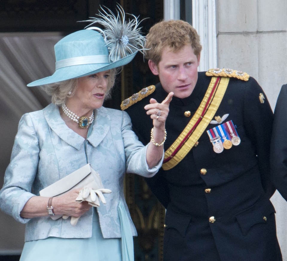 Harry is unlikely to be able to build bridges with Camilla