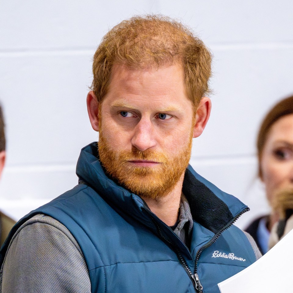 Prince Harry will not make a hybrid return