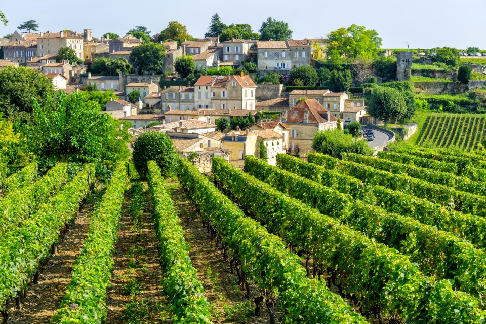 Some have dubbed the route the 'wine train' because of Bordeaux's vineyards