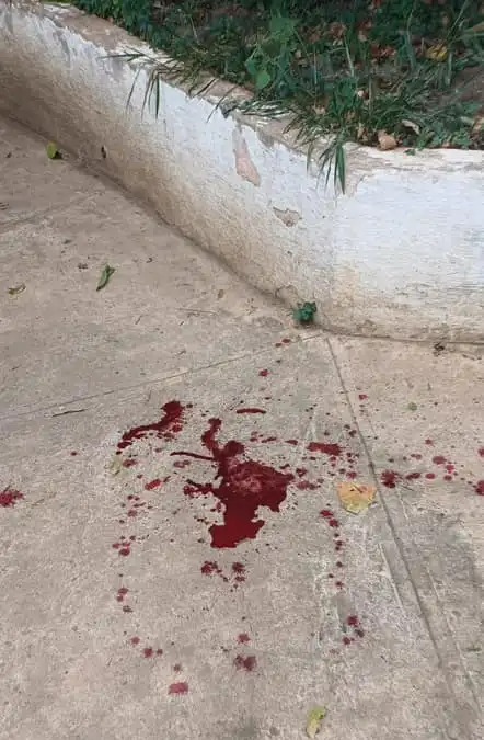 A pool of blood was seen on the floor of the enclosure following the attack