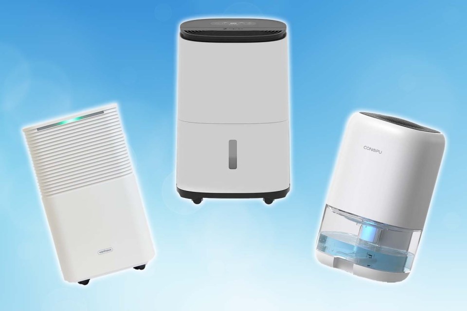 dehumidifier-black-friday