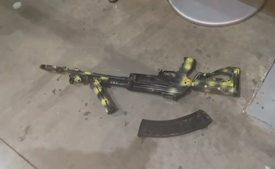 22 March 2024 terrorist attack during a concert in Moscow's Crocus City Hall  left dozens dead and over a hundred wounded