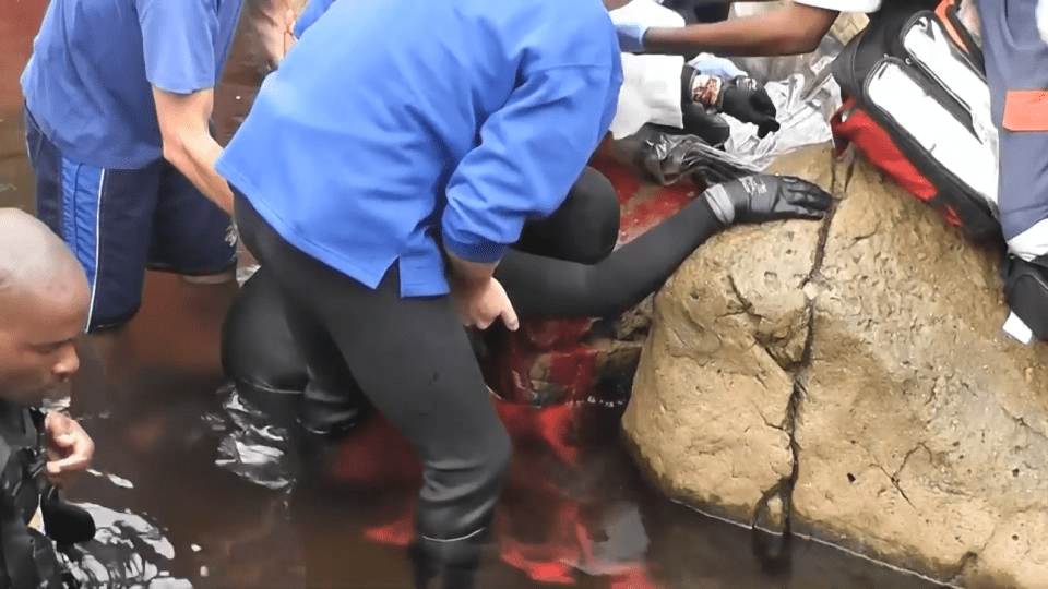 The swimmer was left with serious wounds to his arm and hand