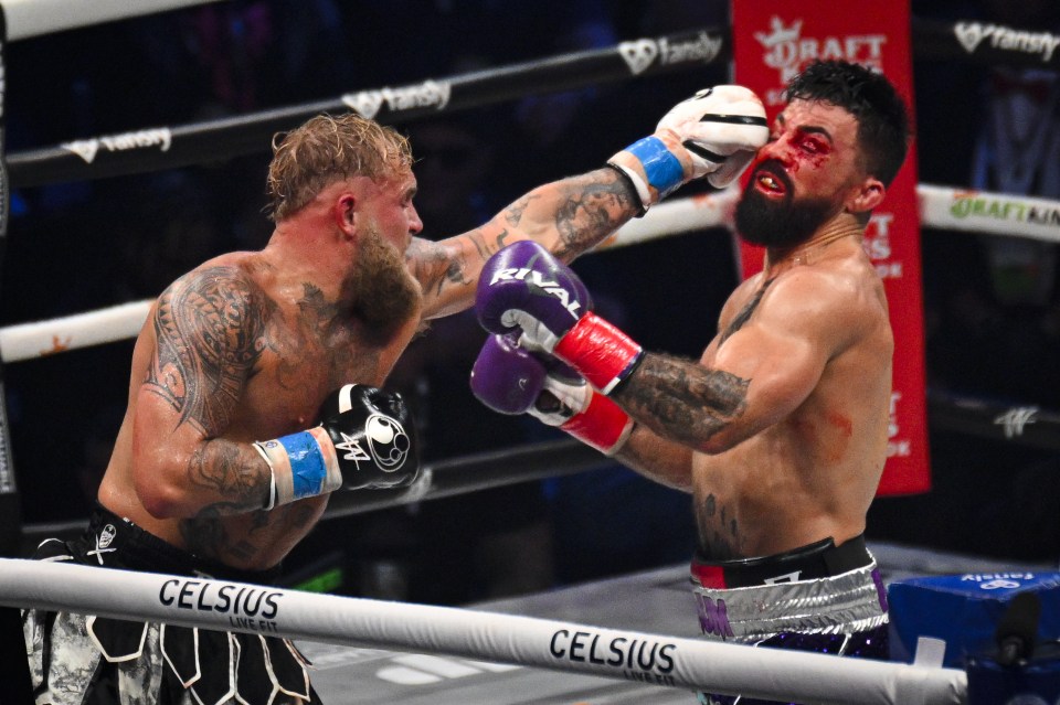 two boxers in a ring with celsius boxing gloves