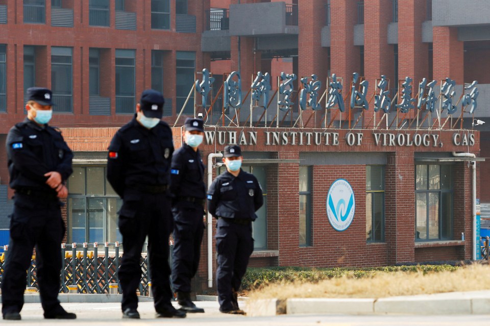 The Wuhan Institute of Virology has faced intense scrutiny over its risky coronavirus experiments - and how it may have sparked the pandemic
