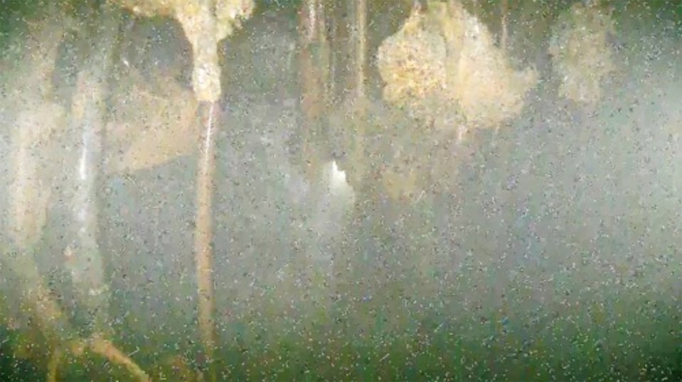 Scientists are trying to find out more about the interiors of the melted reactors