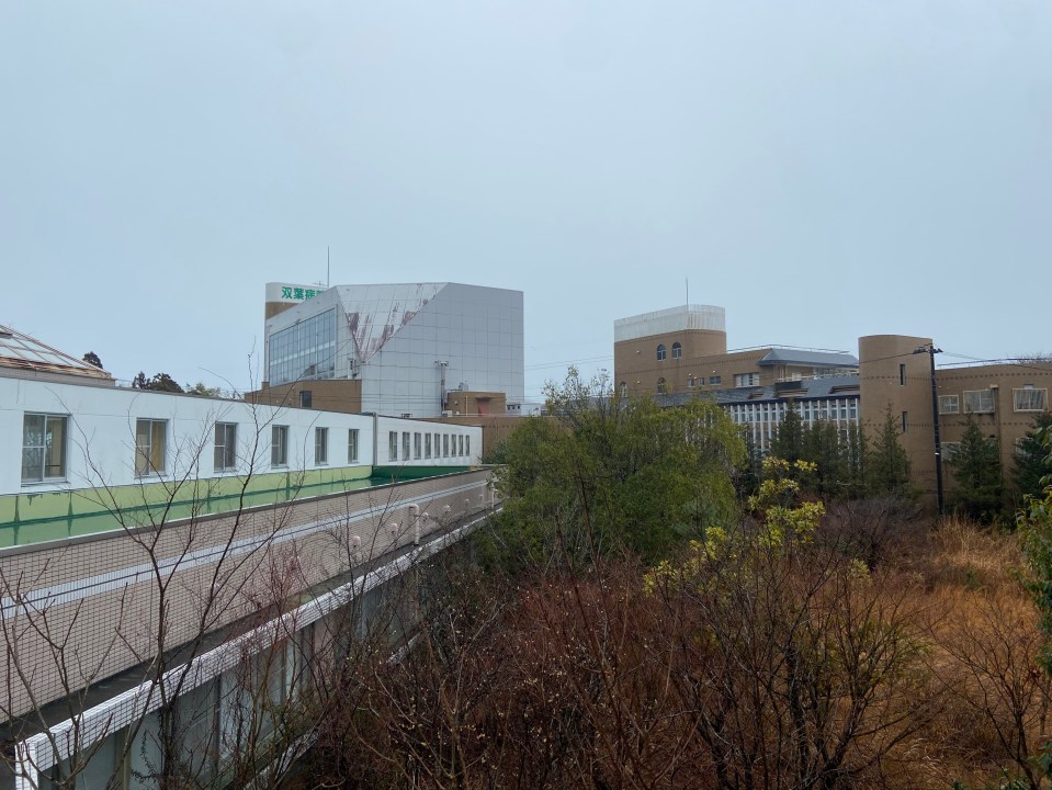 Part of Fukushima's current skyline