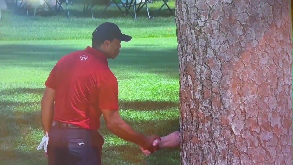 Tiger Woods appeared to get friendly with a tree at Augusta