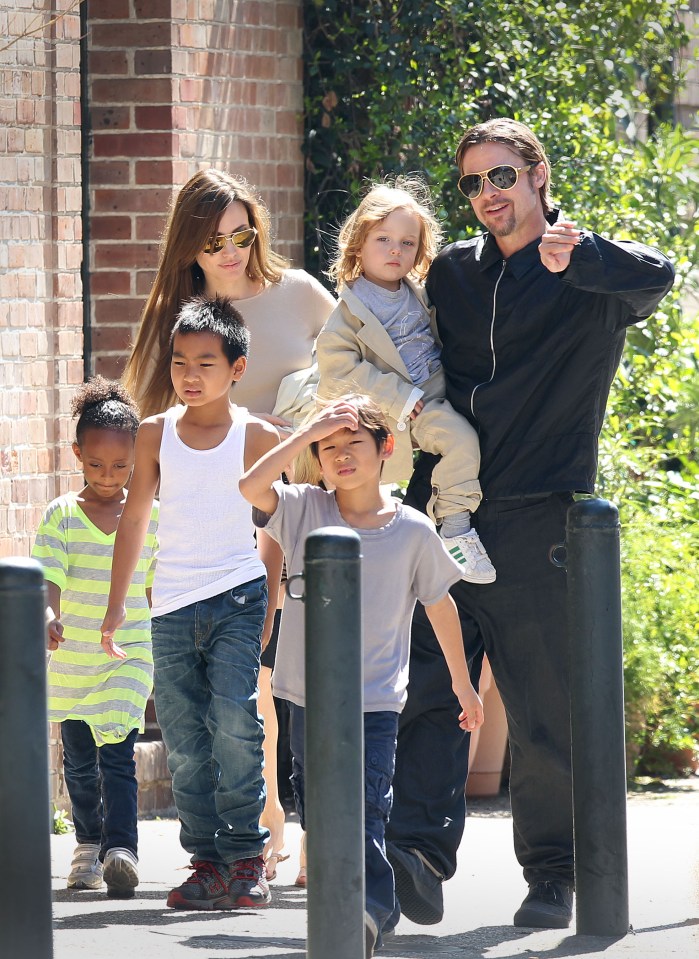 Pitt was accused of choking one of their six children and striking another in the face