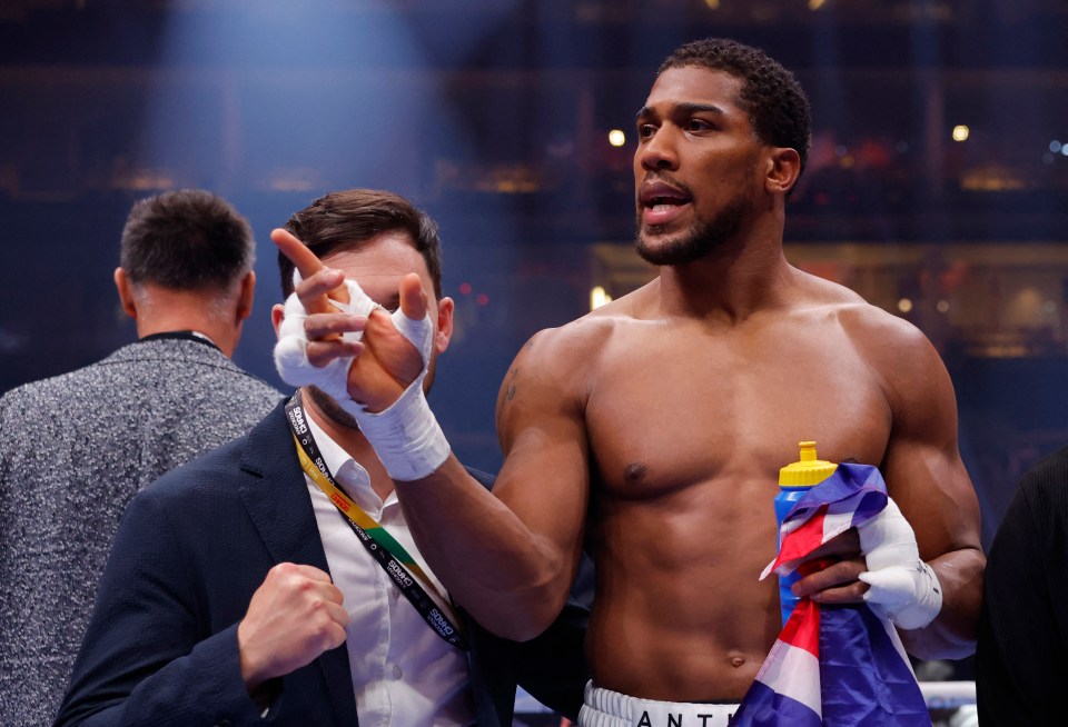 Joshua was set to fight Wilder this year