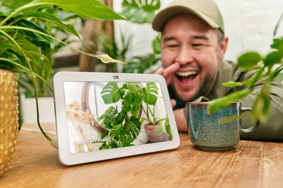 Amazon has teamed up with leading botanist and TV presenter, James Wong, to bring new plant-care expertise to Alexa, including a new featured routine, whispered affirmations and updated knowledge to help customers keep their house plants alive and healthy.</p>
<p>From today, Alexa users will be able to ask over 35 new questions about their favourite house plants, including “How much light does my Aloe Vera need?”, “How often should I water my cheese plant?” and “How often do I repot my peace lily?”, and can activate a new featured routine through the Alexa app that will create the optimum growing conditions for their potted pals.</p>
<p>Customers can access the new routine via the Alexa app, which includes reminders to check on and water house plants, smart home connectivity to provide optimum light and temperature settings to keep plants alive and well*, as well as plant-friendly music playlists to encourage growth. The routine lands on the app as new research finds nearly a third (30%) of Brits find it difficult to remember how frequently their plants need watering or feeding.