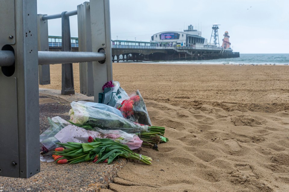 Saadi, 20, has been charged over the fatal stabbing on Durley Chine Beach