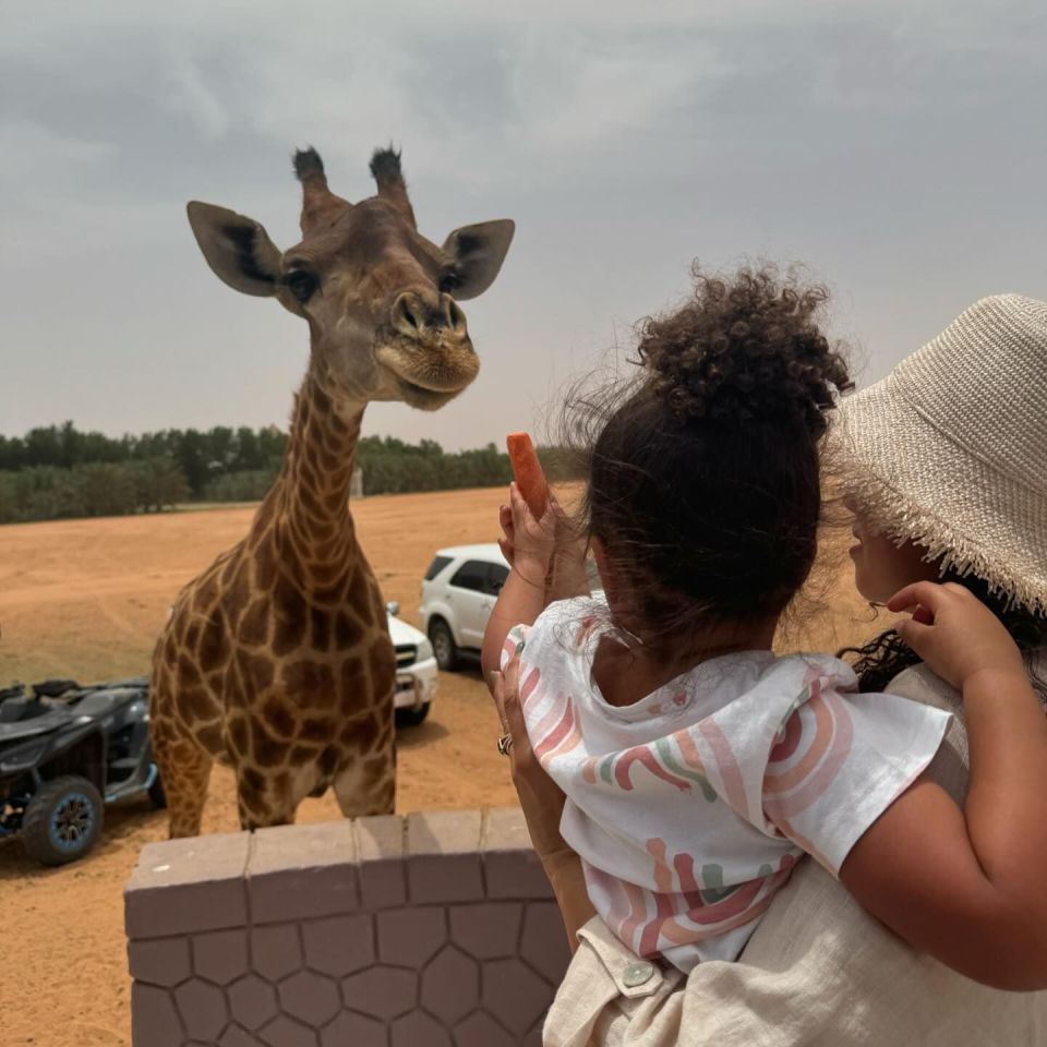 The girls fed some giraffes