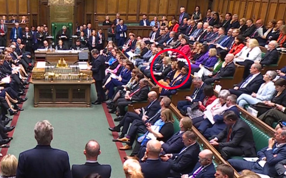 MPs didn’t even bother trying to smile at their spectacularly right-wing new recruit