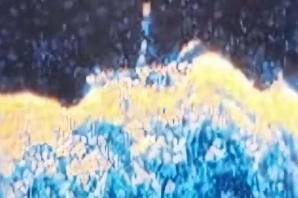 A sonar image showing what would be the turret and periscope of the Nazi submarine