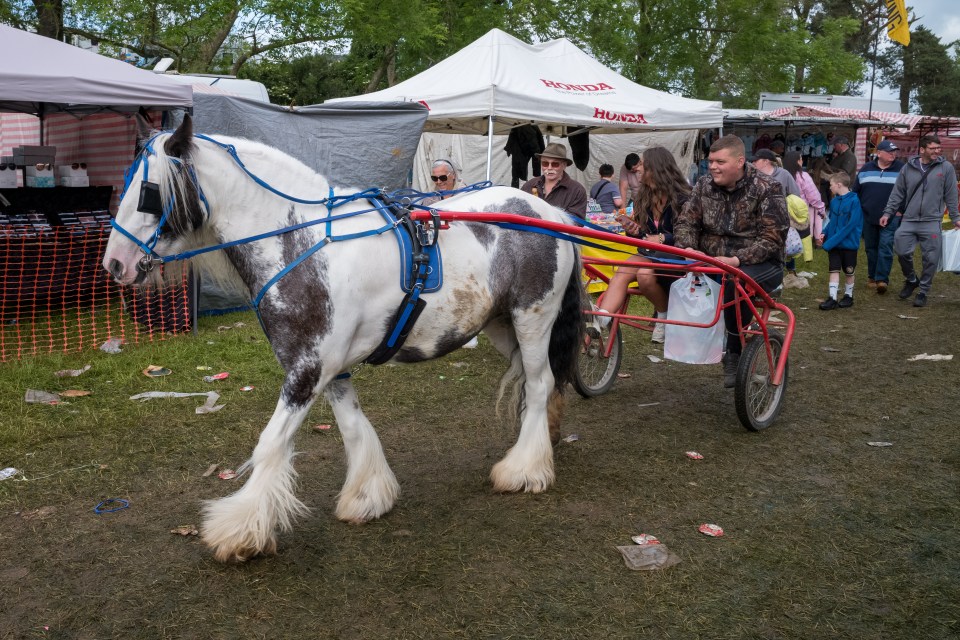 A horse pulls three people through the grounds on Saturday
