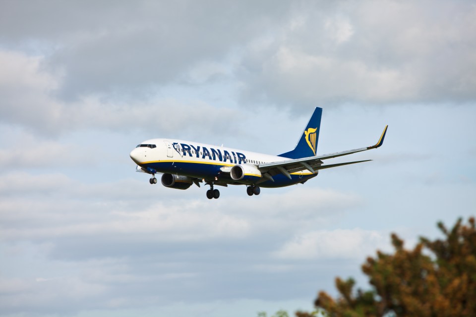 Ryanair CEO Michael O'Leary says airlines will sell seats at a loss to fill flights at certain times of the year