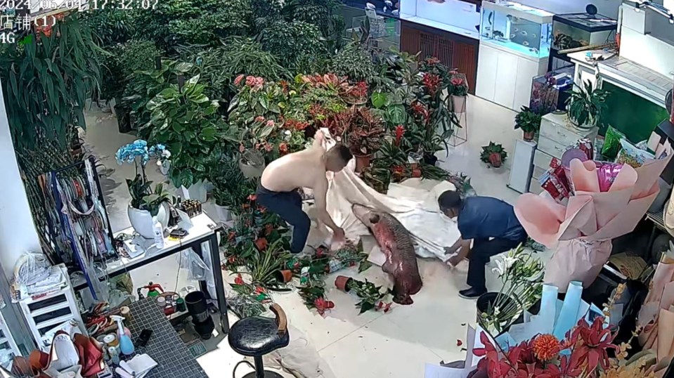 Two men try to rescue it and put it back in its tank