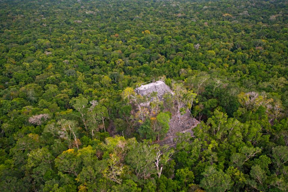 A large pyramid complex in the La Danta archaeological site amid the vast forest of El Mirador