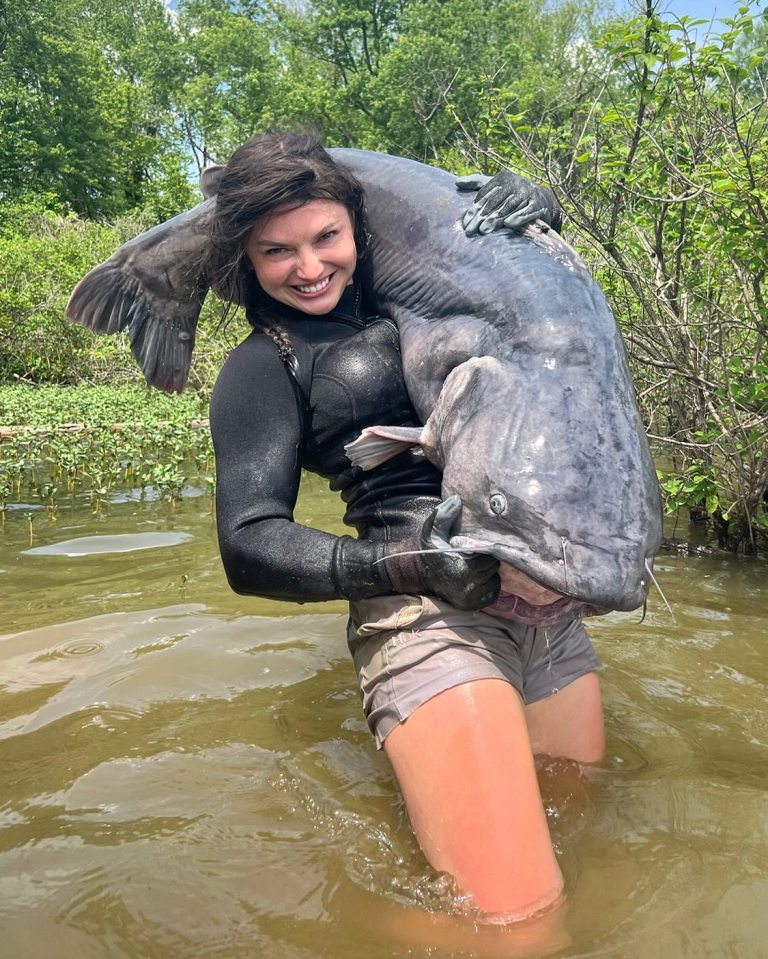 Catfish can grow to astronomical sizes (stock image)