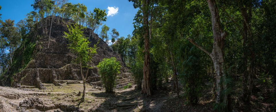 The ancient Mayan city in the middle of the jungle was untouched for 1,000 years