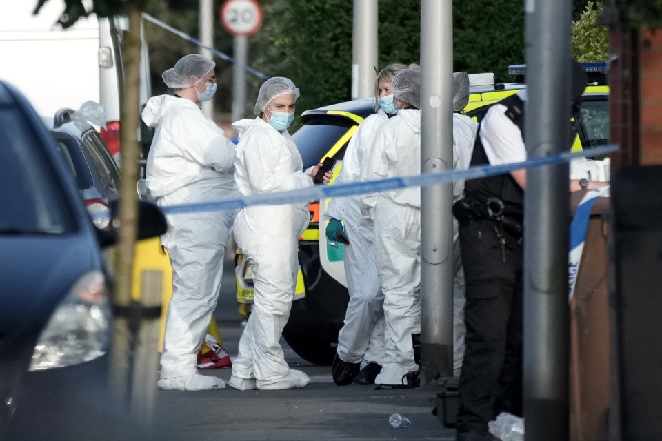 Two children were tragically killed in the horror attack