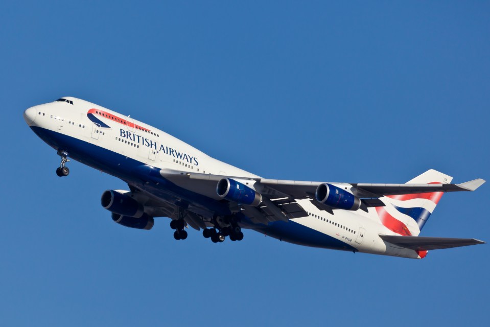 Hundreds of British Airways passengers are experiencing problems with both the airline's app and website