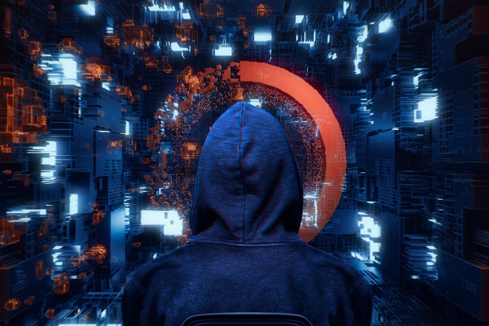 a person in a hooded sweatshirt is looking at a computer screen