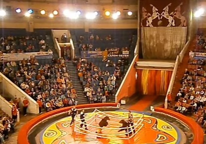 The awful shows often attract locals which only encourages the handlers more, fear experts