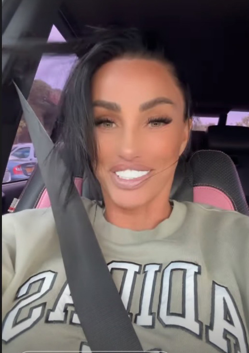 Katie Price decided to get a new guard dog for security reasons