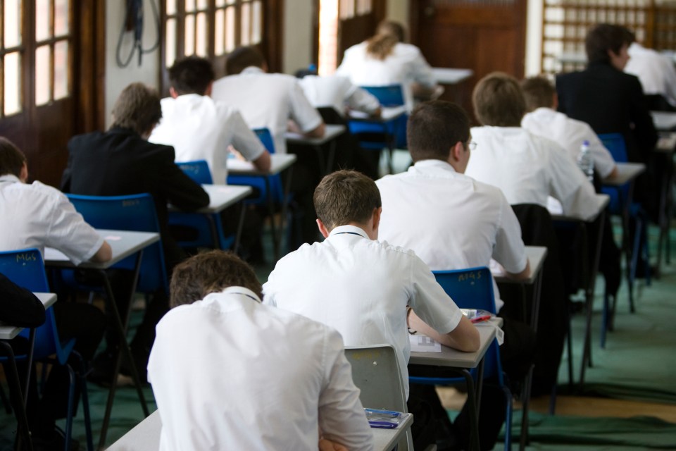 a group of students are sitting at their desks in a classroom with their backs to the camera