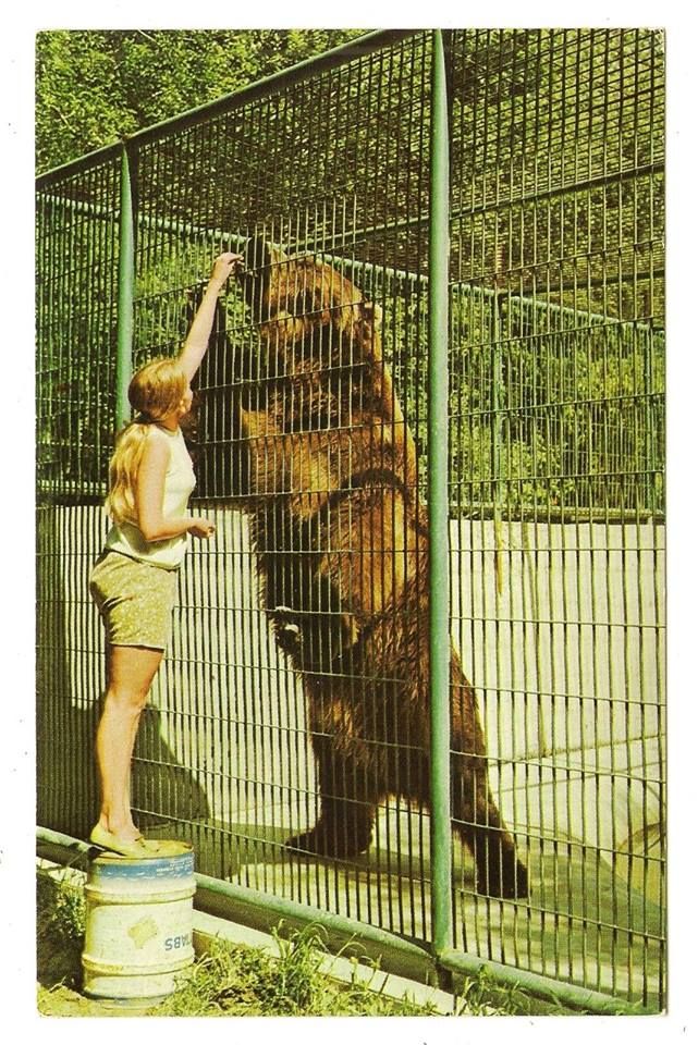 He was 9ft tall and lived at Dakota Zoo