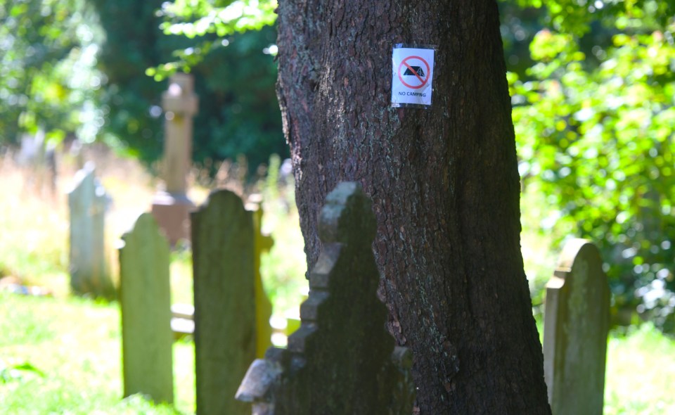 a no camping sign is taped to a tree in a cemetery
