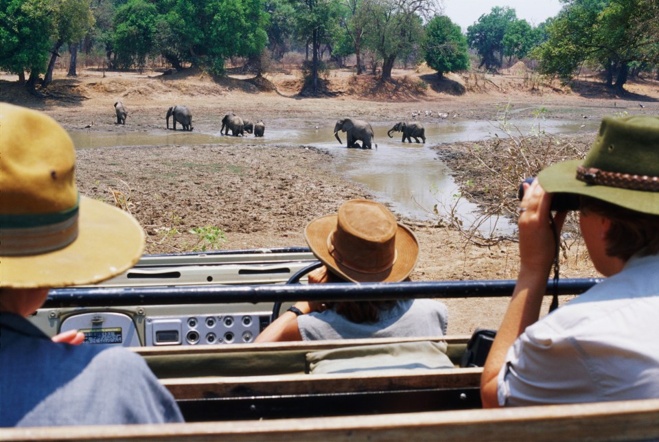 Zambia is not as well known as other African countries for its wildlife - but it should be