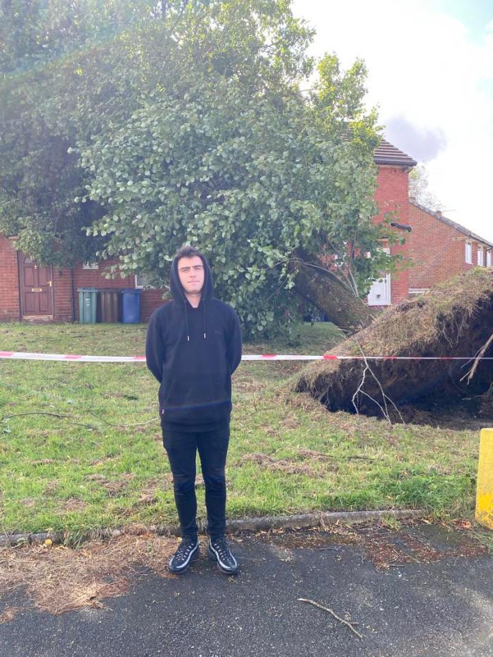 a man in a black hoodie stands in front of a fallen tree