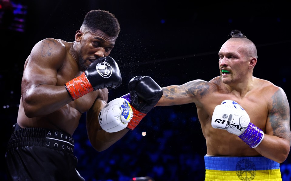 rival boxing gloves are being worn by two boxers
