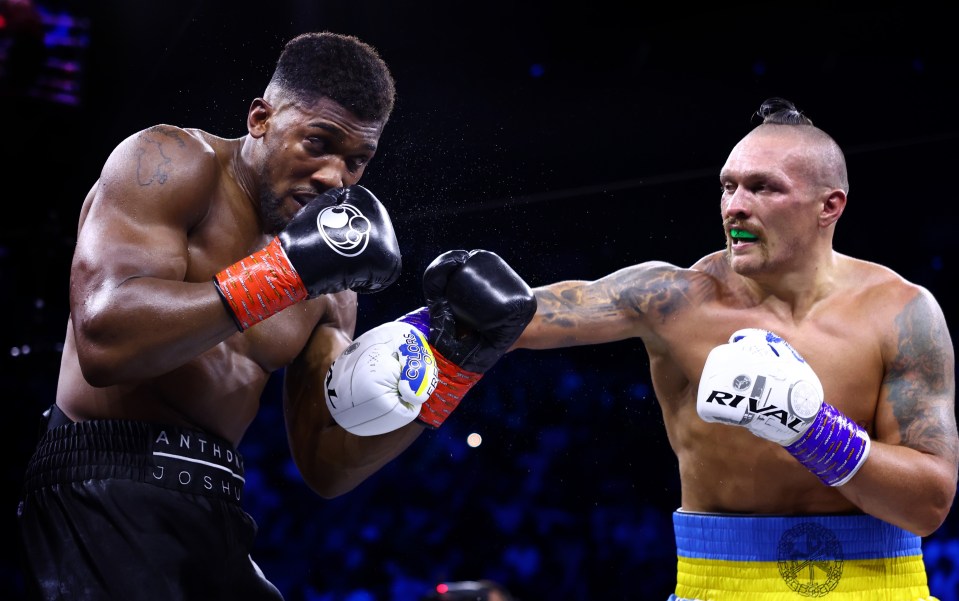 rival boxing gloves are being worn by two boxers