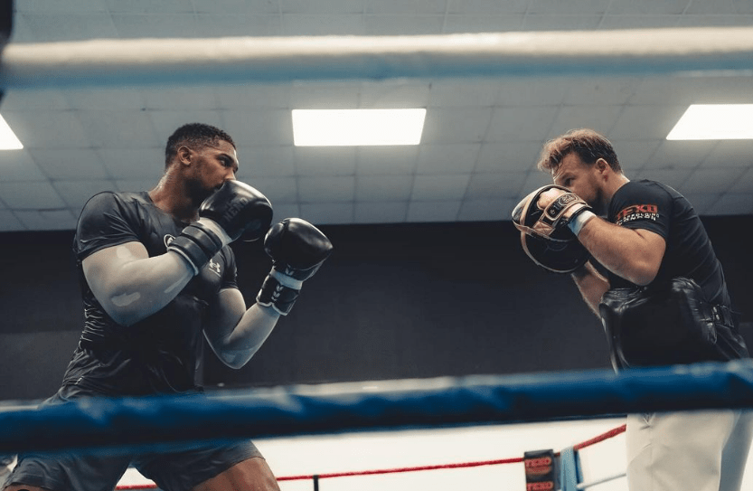 two boxers in a ring with one wearing a shirt that says exi boxing