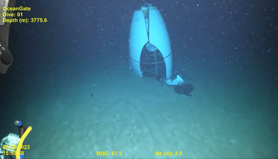a computer screen shows a scuba diver in the ocean