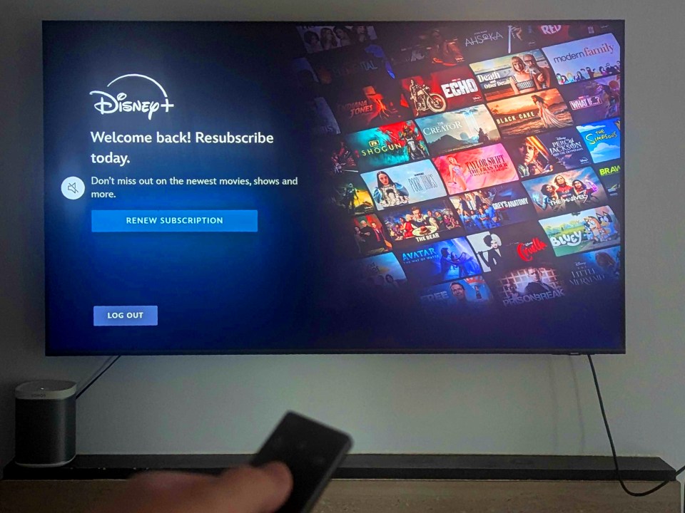 a person is holding a remote in front of a disney + screen