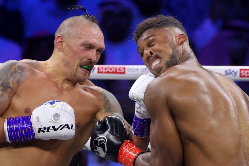 rival boxing gloves are being worn by two boxers
