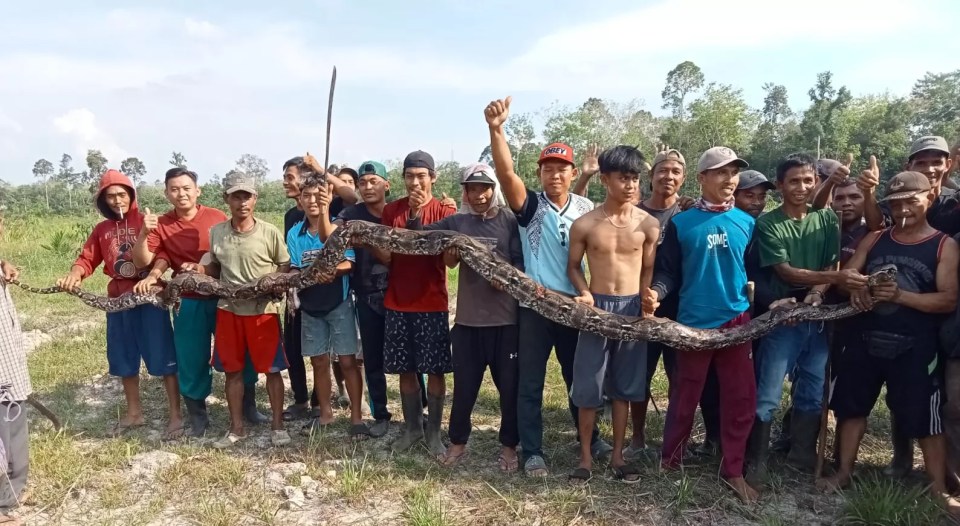 a group of men holding a large snake with one wearing a shirt that says snc