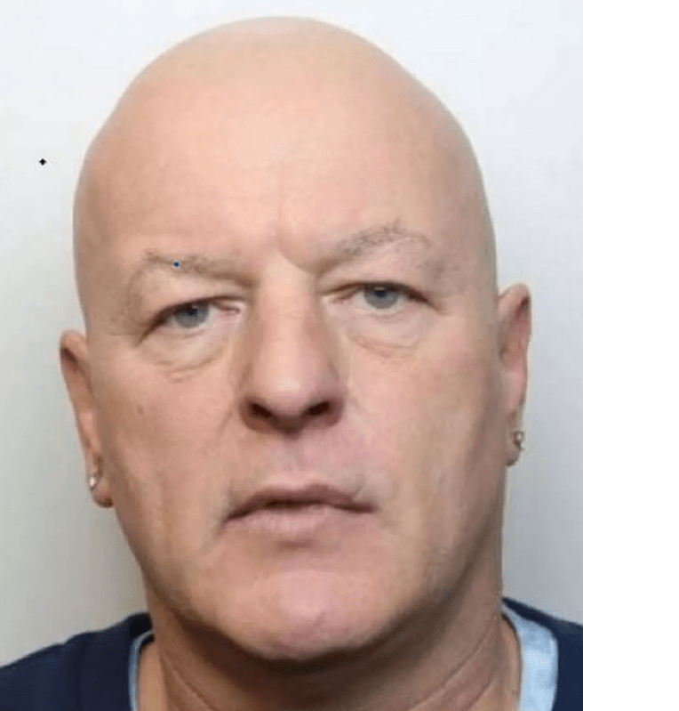a bald man with blue eyes is wearing a blue shirt and earrings .