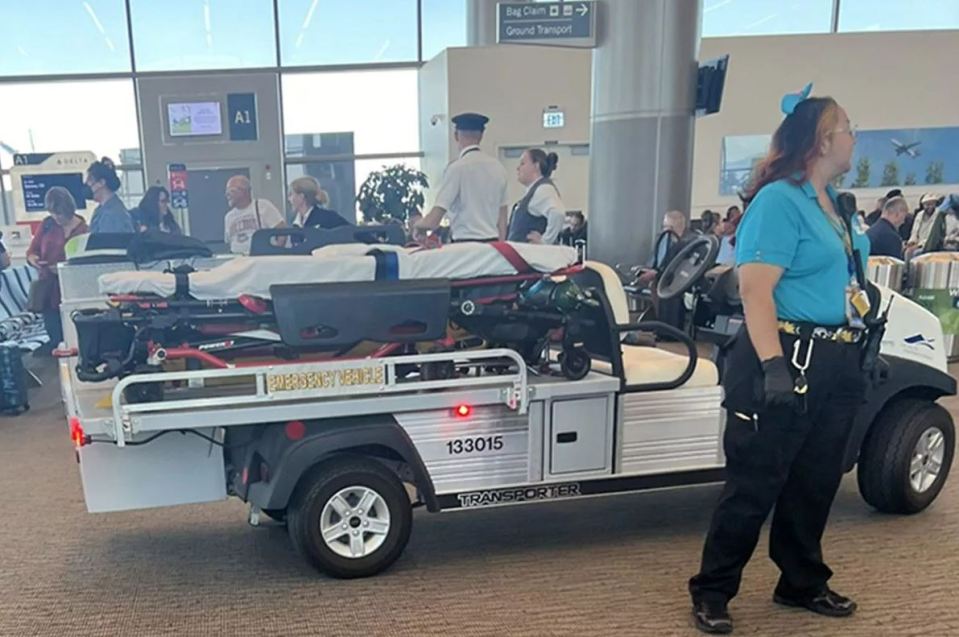 a golf cart has the number 133015 on the back