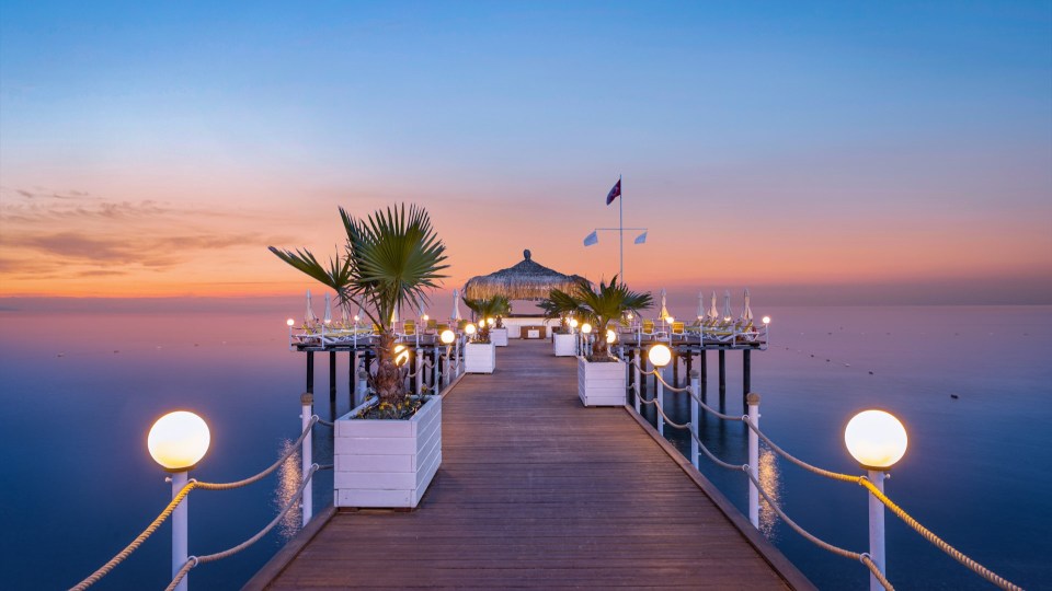 a pier with palm trees and a gazebo at the end