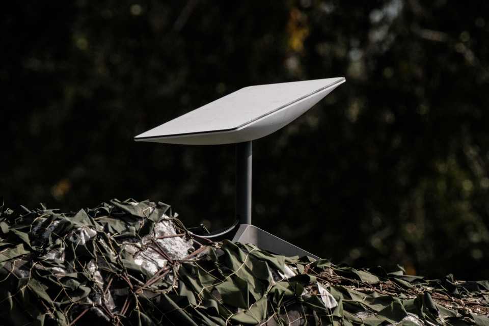 a small white object is sitting on top of a pile of leaves